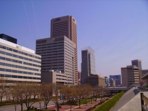 Baltimore Environmental Control Violations